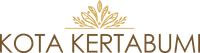logo-developer