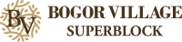 logo-developer