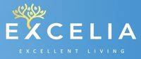 logo-developer