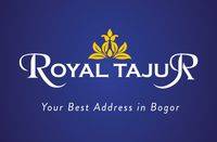 logo-developer