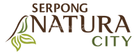 logo-developer