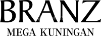 logo-developer