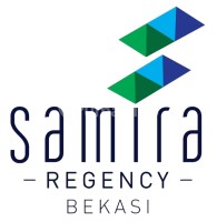 logo-developer