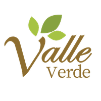 logo-developer
