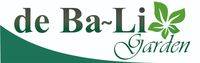 logo-developer