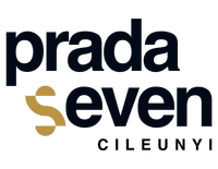 logo-developer