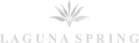 logo-developer