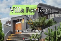 MODERN LUXURY VILLA WITH RICEFIELD VIEW IN UBUD