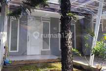 Rumah Sewa Sentul Alaya Bogor Babakan Madang