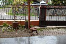 Rumah Kontrakan Non Furnist Jalan Damai Jogja