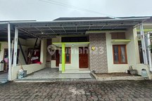 Kontrakan Rumah Bagus Terawat Dekat Kampus Tosuro