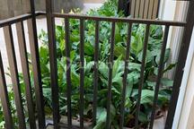 Turun Harga (murah )490jt Turun Ke 410jt