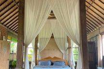 For Rent Villa Rice Field View Ubud , 10 Menutes From The Center Of Ubud Gianyar, Mongkey Fores. Ubud In The Middle Of The Rice Fields Sunset View Of The Most Beautiful