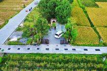 For Rent Villa Rice Field View 10 Menutes Mongkey Forest Ubud Very Quit Gtext With Your Camerathe Villa Is In The Middle Of A Large Rice Field, Quiet, No Noise, 10 Minutes From The Center Of Ubud, Monkey Forest, Ubud Gianyarfor Rent Villa Ubud Most Beauti