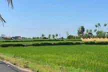 For rent the villa is in the middle of a large rice field, quiet, no noise, 10 minutes from the center of Ubud, monkey forest, Ubud Gianyar

, For rent Villa rice field view Sayan 10 menutes from Central Ubud Gianyar, mongkey fores.Gianyar Bali Indonesia 