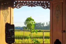 FOR RENT VILLA UBUD RICE FIELD VIEW 5 MENIT FROM RUSTERS KAFE 10 MENUTES FROM CENTRAL UBUD 