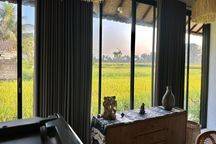 For Rent Villa Ubud rice field view 10 menutes from Central Ubud Gianyar Bali 40 menit to nyanyi beach @Pure dalem street number 15 Villa in the middle of rice fields, rice field view, Sayan Ubud, Village 
2 bedroom 2 bathroom  IDR 15.000.000 For 1 month 