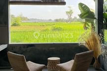 For Rent Villa Rice Field View 10 Menutes Feom Central Ubud Gianyar Bedroom Villa Available December 3 And Available Now 1 Bedroom With Natural Panoramic Views Of The Most Beautiful Rice Fields In Ubud, Feel The Sensation Near Varvara Internasional School