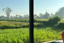 For Rent Villa Ubud Gianyar 3 Bedroom N The Middle Of A Large Rice Field, Rice Field View Sayan 10 Menutes From Central Ubud Gianyar, Mongkey Forest Dikontrakkan Villa Di Ubud 12 Menit From Central Ubud Mongkey Forest 40 Menutes From Canggu 