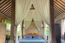Villa For Rent Rice Field View Quite In Ubud Gianyar 10 Menutes From Mongkey Forest Sentral Ubud Gianyar Bali 40 Menutes From Canggu Nyanyi Beach Club Bali Indonesia 