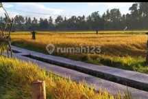For Rental Villa rice field view Sayan Ubud Gianyar Bali 10 menutes from mongkey forest sentral Ubud Gianyar 40 menutes from Canggu Nyanyi beach Tanah Lot 5 menutes from Ruster Kafe Sayan Ubud 10 menit ke pusat sentral Ubud mongkey forest center ubud Bali