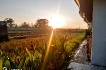 For Rent Villa Rice Field View 10 Menutes From Mongkey Forest 10 Menutes From Rusters Kafe Price 17.000.000. Rice Field View 10 Menutes From Mongkey Forest Center Ubud Gianyar Bali Indonesia 