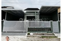 Rumah Sewa Full Perabotan Lokasi Sumbersari Daerah Kampus