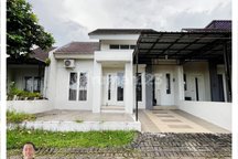 Rumah Sewa Siap Huni Daerah Kaliwates Cocok untuk Hunian