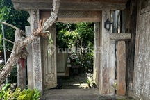 Rumah Joglo Lingkungan Tenang Disewakan Tabanan