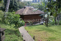 For Rent Bungalow Studio - Selemadek Tabana