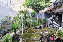 Rumah Tengah Kota Bandung Punya Taman Depan Belakang