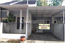 Rumah Pusat Kota Jember