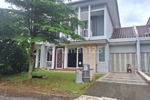 Sutera Pelangii 240 5M