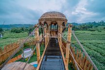 Di Sewakan Villa Siap Huni Full View Sawah di Sidemen