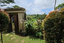 DISEWAKAN RUMAH DI UBUD