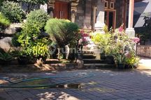 Dijual Rugi Rumah Besar LT 465m2 Di Celukan Bawang Buleleng Bali Bisa KPR