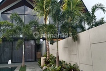 Vila Modern Suasana Tenang di Ubud