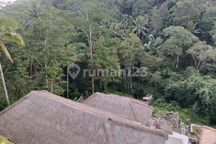Vila Sewa jangka Panjang Vew Menawan Diubud