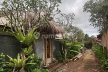 Vila abstrak perlu renop, lingkungan nyaman diubud