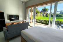 Rumah Apartment One Bedroom Fully Furnished View Sawah Di Ubud Om