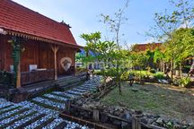 3 Unit Rumah Gladag dengan Halaman Luas Berlokasi di Dalung