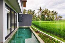 Brand New Exclusive Cluster Villa Ubud With Ricefield View