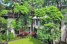 Disewakan Rumah Mewah Taman Nice Beautiful Tropical Garden Prime Lokasi Strategis Rumah Mewah Cocok Untuk Ambassy Atau Kedutaan Atau Pejabat Atau Pengusaha Dan Tempat Tinggal Nyaman Dan Asri Area Menteng Jakarta Pusat 