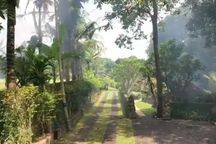 Private Villa Complex In Tabanan 