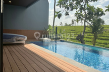 Best Ricefields View Villa Canggu With Infinity Pool
