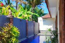 Murah Villa Minimalis With Swimming Pool Kaliasem Lovina Bali