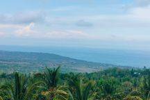Bonus Rumah! Super Ocean View 5000m² Kubutambahan Buleleng Bali 