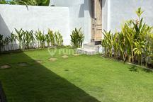 Available House For Rent In Canggu Area