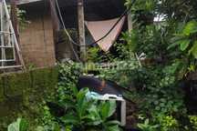 Disewakan Local House 3.5 Are Shm Di Beraban-nyayi