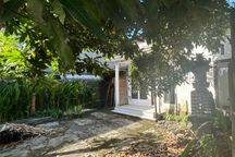 Disewakan Rumah 2 Kamar Shm Di Canggu - Batan Kangin
